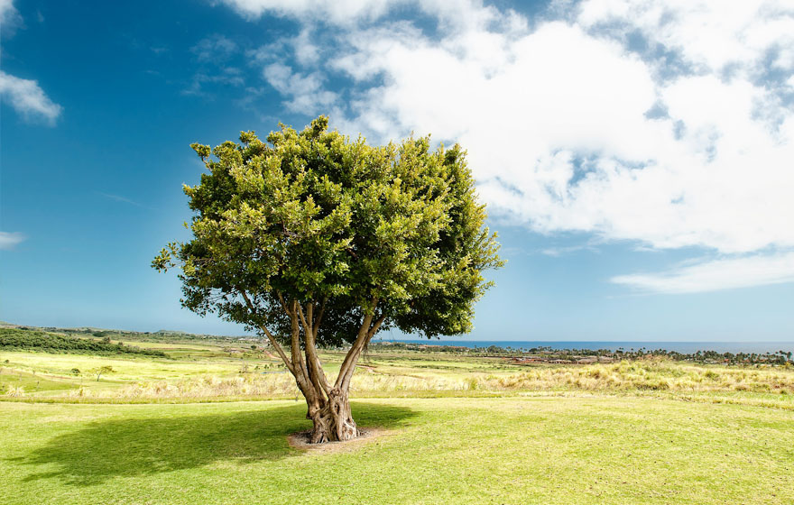 必赢亚洲·bwin(中国区)官方网站